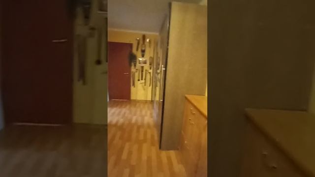 11358 смотреть онлайн