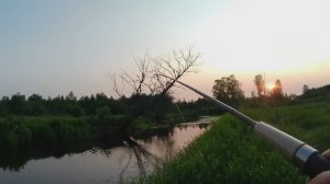 Вечерняя прогулка по реке 04.06.2025