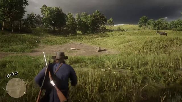 Прохожу сюжет , Стрим Red Dead Redemption 2