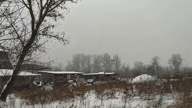 Изюм, 11 февраля 2024г