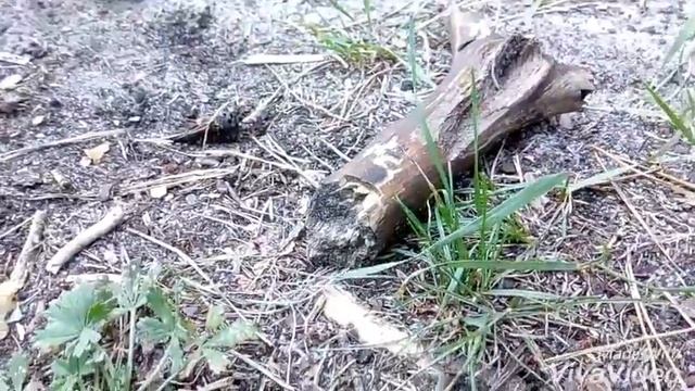 «Нет пути назад» 8 серия смотреть онлайн