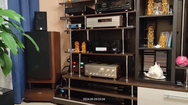 Denafrips PONTUS 15th R2R + Акустический Audioquest WEL Cable (China) + I2s FireBird 48