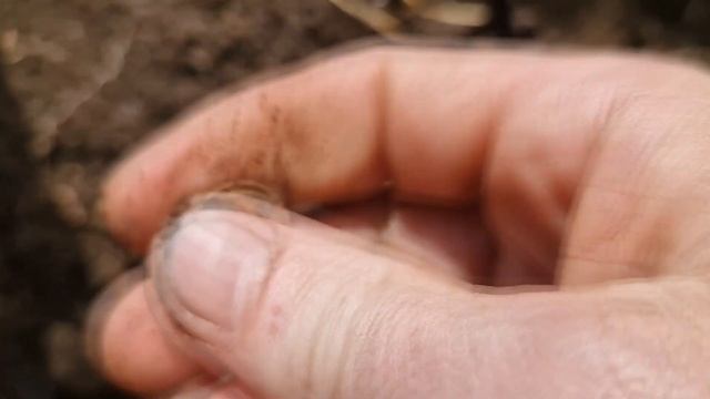 Шурф старая деревня.