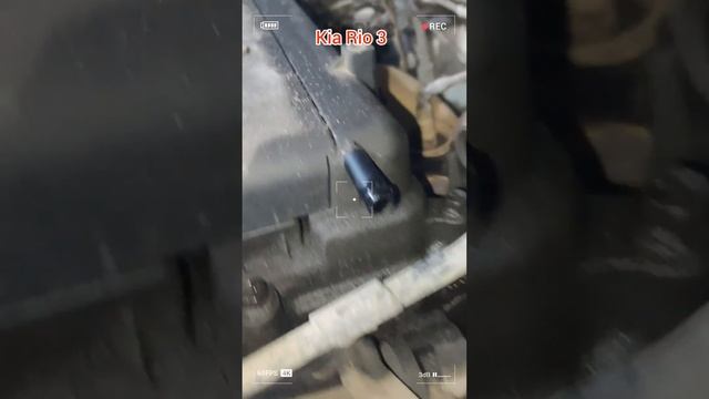 замена комплекта сцепления, заднего сальника коленва? смотреть онлайн