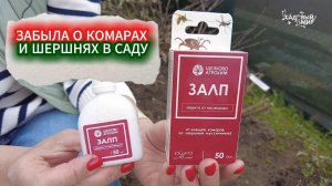КОМАРИНЫЙ АД В САДУ ПОСЛЕ ТЕПЛОЙ ЗИМЫ! ЛУЧШЕЕ СРЕДСТВО ДЛЯ ОБРАБОТКИ УЧАСТКА ОТ КОМАРОВ И ШЕРШНЕЙ