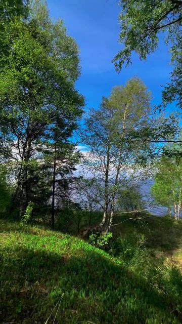 video_2025-06-04_11-31-53 смотреть онлайн