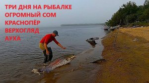 ТРИ ДНЯ НА РЫБАЛКЕ. ОГРОМНЫЙ СОМ, КРАСНОПЁР, ВЕРХОГЛЯД, АУХА. Открыл новый способ ловли на спиннинг