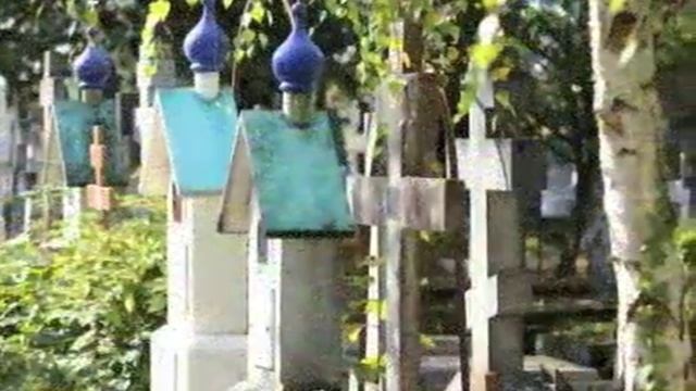 Заливные луга смотреть онлайн