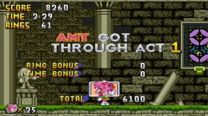 Специальное Достижение Эми!!! Финал!!! #24 | Sonic 3D in 2D