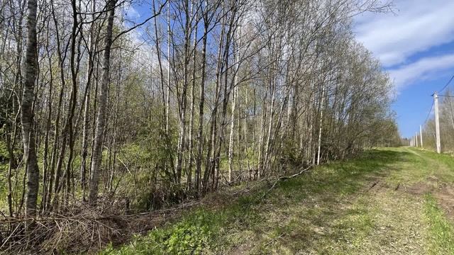 Кусинское сельское поселение, массив Посадников Остров, СТ "Содружество", линия 4 смотреть онлайн