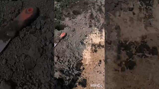 посадка клубники весной рассадой фриго смотреть онлайн