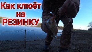 Снасть Резинка что влияет на клев рыбы