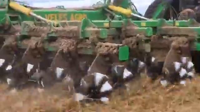 Работа Zeus VT от Veles Agro , вертикальна обработка почвы Чер? смотреть онлайн