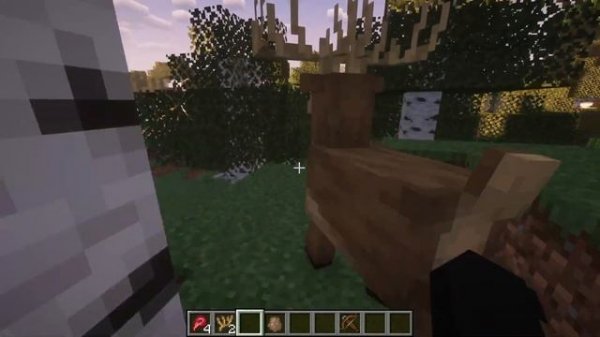 NATURALIST - КАЧЕСТВЕННЫЙ МОД НА ЖИВОТНЫХ! ОБЗОР МОДА НА МАЙ