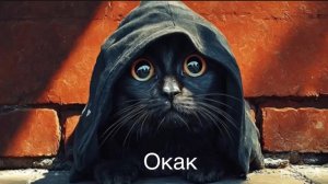 Кот ОКак: универсальная реакция на все.