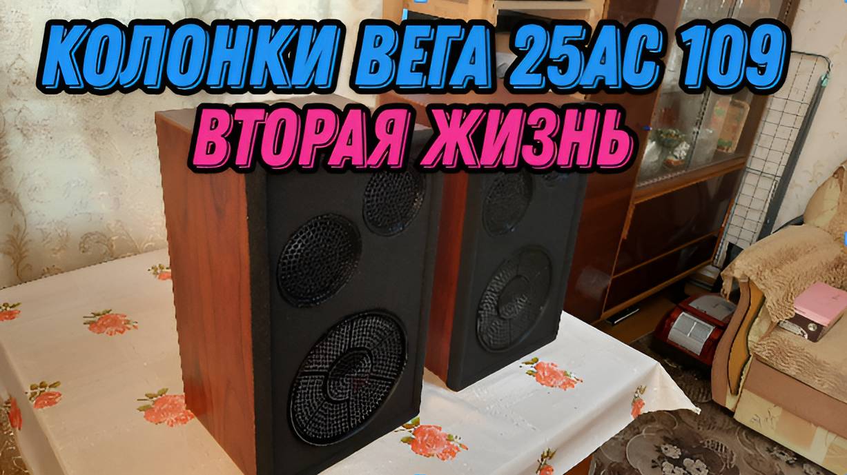 Доработал и улучшил оригинальные колонки ВЕГА 25АС 109 смотреть онлайн