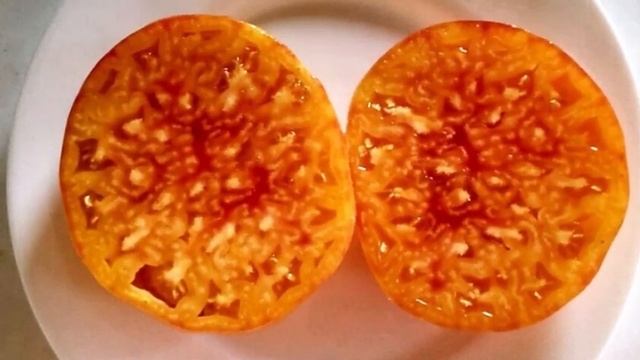 ТОМАТЫ. Каталог томатов 2024 г. Часть 4. Проверенные сорт?