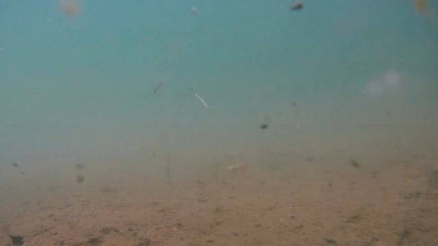 Испытание под водой экшн камеры Sjcam Sj6 Legend