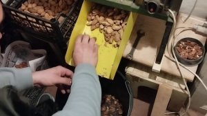 Станок орехокол для чистки миндаля миндального ореха