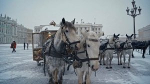 Экскурсия по Санкт-Петербургу