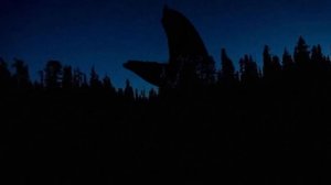 SHIN SONIC — САМАЯ ЖУТКАЯ ВЕРСИЯ СОНИКА? АНАЛОГОВЫЙ ХОРРОР