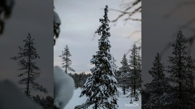 Зимняя сказка! Очаровательная и волшебная зима!❄❄❄.mp4 смотреть онлайн