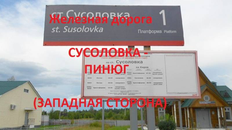 Железная дорога Сусоловка - Луза - Пинюг (вид из окна поезда, западная сторона) (ГЖД)