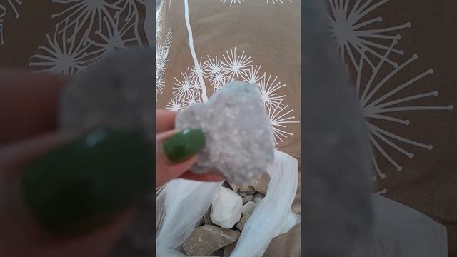 голубая узбекская.