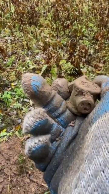 Находка ч.387🔥🔥 #леснойскобарь#2024 #коп#металлоискател смотреть онлайн