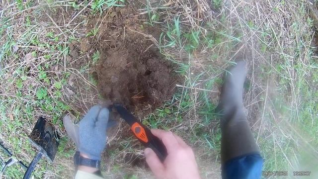 Minelab X Terra Elite. Хуторок, поле.