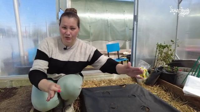 Высадка огурцов и применение готового комплекта нетк?