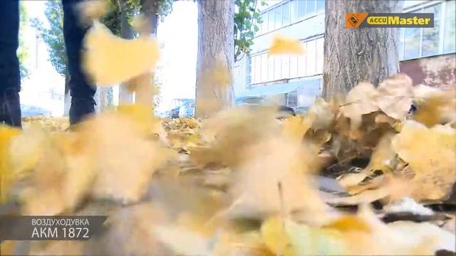 Энкор 49272 Воздуходувка АКМ1872 DeloMastera.by смотреть онлайн