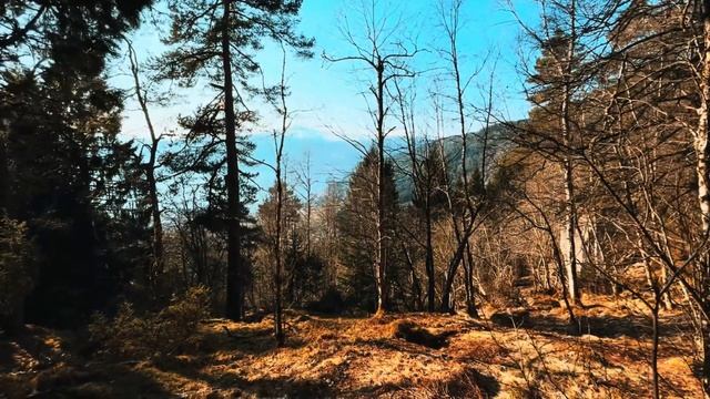 НОРВЕГИЯ🇳🇴| ЗАЛ | ПОХОД В ГОРЫ