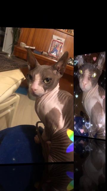 5 лютого 2025 р. смотреть онлайн