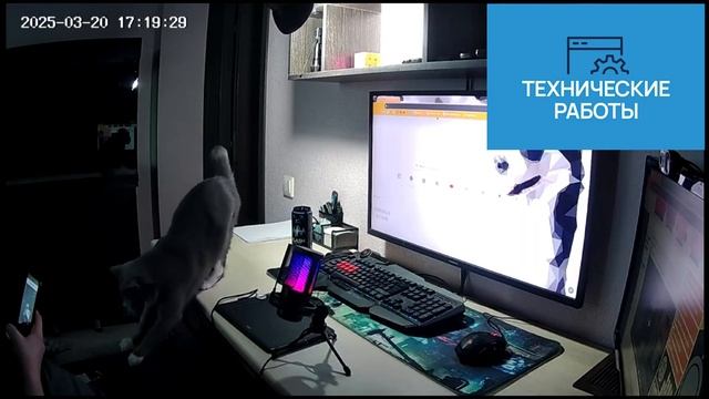 Обзор  графического планшета Parblo Intangbo X7