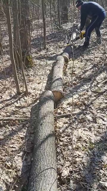 Пила аккумуляторная цепная ELS-4/20Li Huter - бесщеточный двигатель, в комплекте с АКБ и ЗУ, 2 АКБ 4 смотреть онлайн