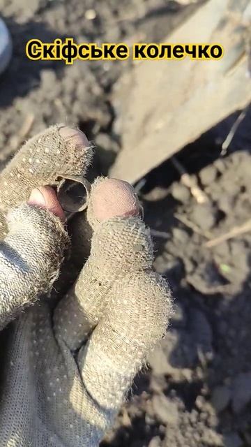 Скіфське колечко Shorts#коп#металлоискатель #популярное смотреть онлайн