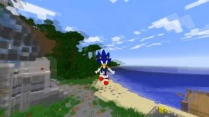 КАК МЕНЯЛСЯ СОНИК И ЕГО ЖИЗНЕННЫЙ ЦИКЛ В МАЙНКРАФТ/ЭВОЛЮЦИЯ СОНИКА В MINECRAFT/SONIC