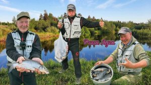 Сырть, Рыбец, Вимба. Красивая река Луга. Первый день лета и удачная рыбалка на Фидер.