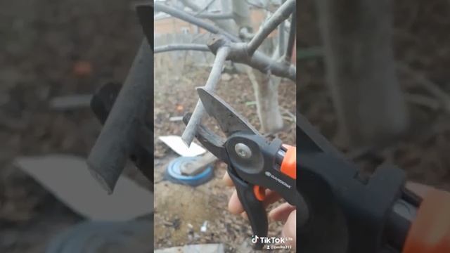 сікатор гардена