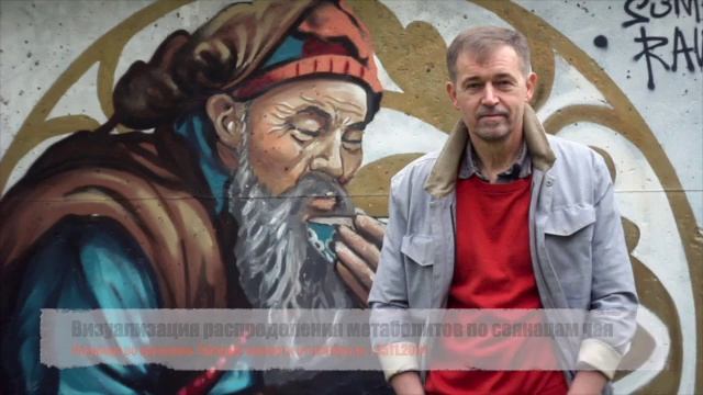 Визуализация распределения метаболитов по сеянацам ч