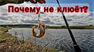 Почему иногда у Вас не клюет как у других?