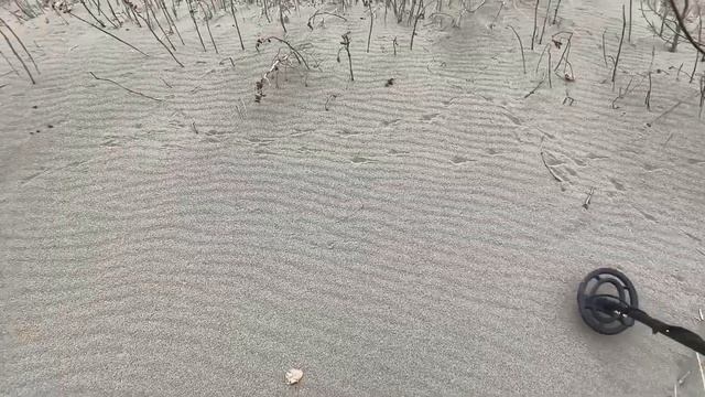 ПЛЯЖНЫЙ КОП, НАШЁЛ МНОГО ЮВЕЛИРКИ!!! #metaldetecting #пляжныйк?