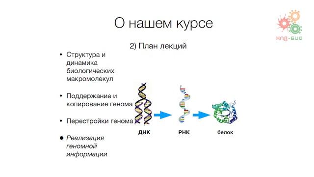 Введение. О курсе смотреть онлайн