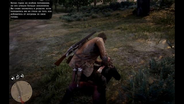 Приключения, баги и неуклюжие ситуации в RDR2