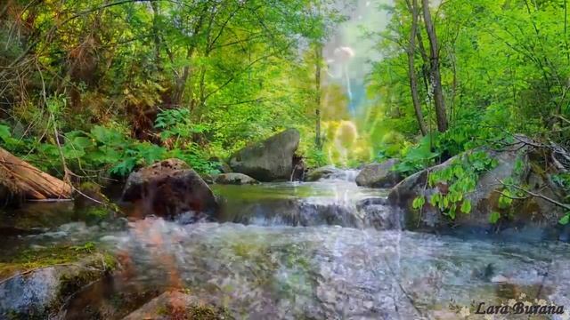 Светлая печаль —Улечу на крыльях ветра