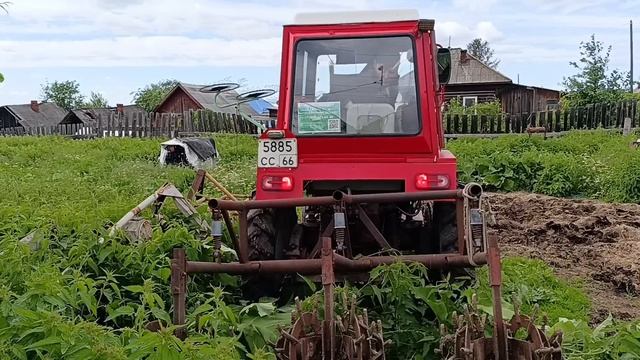 Пришла пора окучивать. Ежи + окучник. смотреть онлайн