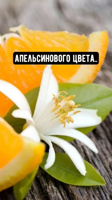 #духи#парфюм#распив #пробник #тестер #тестерыдухов #иде смотреть онлайн