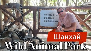 Китай. Шанхай. Shanghai wild animal park