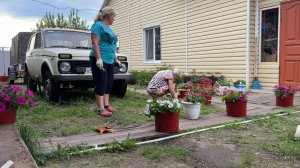 Живу в СЕЛЕ. Черемша(колба)с САЛОМ. Старым ведрам новая жизнь.